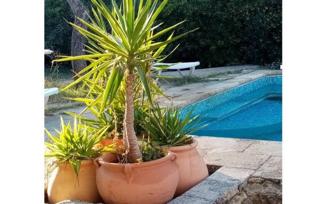 Apartment With one Bedroom in Sorgues, With Shared Pool, Enclosed Garden and Wifi