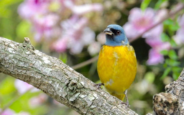 Viento Azul Guest House