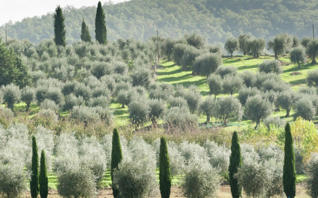 Apartment in Monte del Lago Near Lake Trasimeno