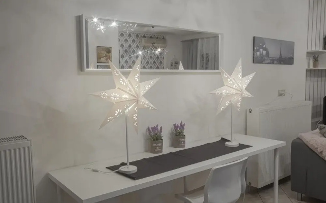 Luxury City Center Apartment