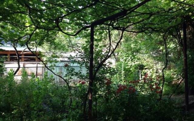 Guest House Besarioni