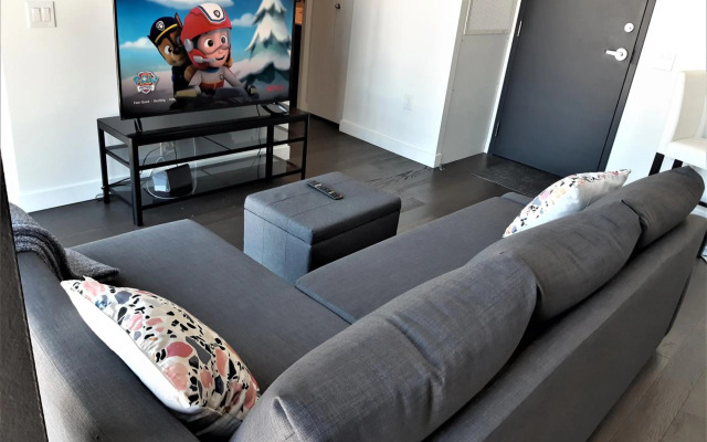 Cozy Skyline Entire Condo in Downtown, Across MTS