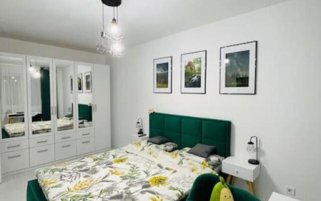 Apartament Modern Ioana