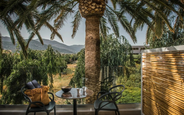 Drossia Palms Hotel Studios