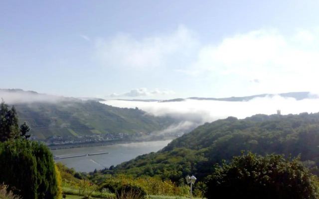 Schau-Rhein#1 - On top of Bacharach, Rhineview
