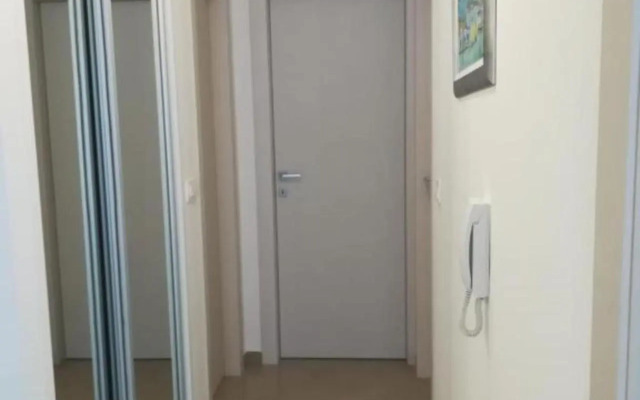 Erceg