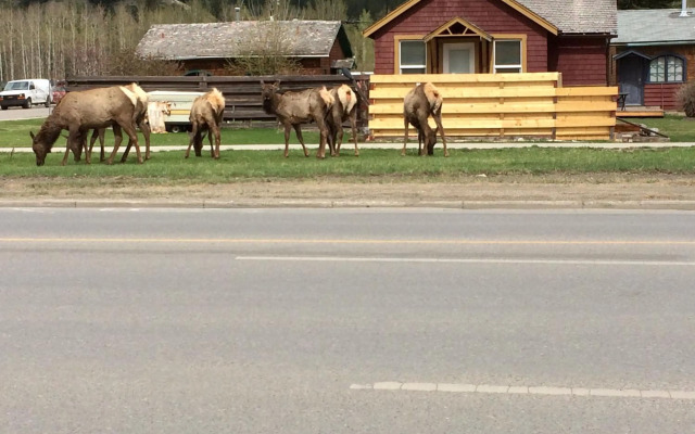 Apartment 411, Antique Heritage