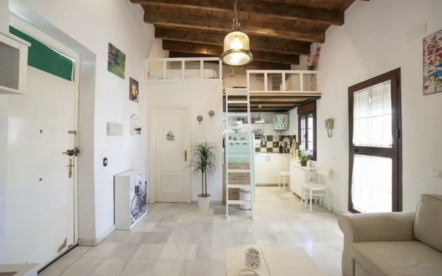 Alohamundi Castilla Iii