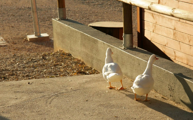 Vilar Rural d'Arnes by Serhs Hotels