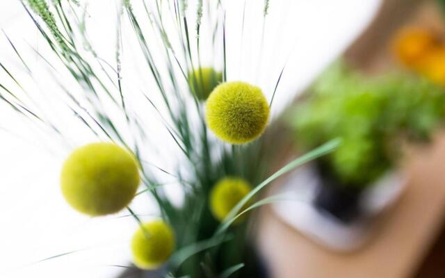 Ferienwohnung-Coordes-05