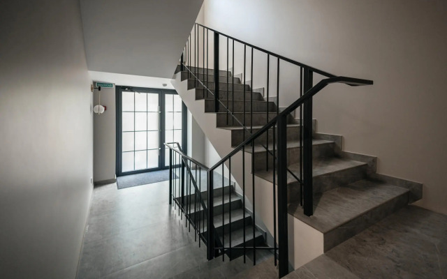 Лакколит 993