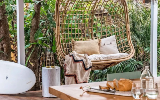 Bangalow Palms