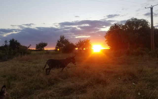 Ferienwohnung 2 Haus Talblick