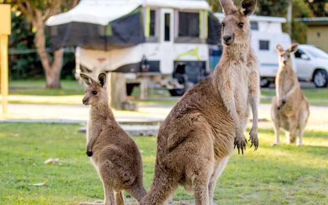 BIG4 Sunshine Resort