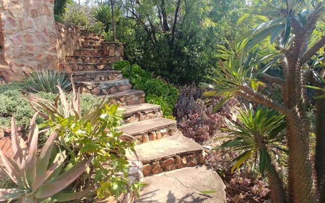 Aloe Guesthouse