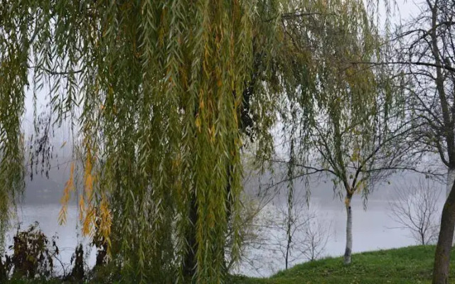 Rooms And Apartments at River