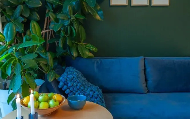 MalinaApt Botanical apartment