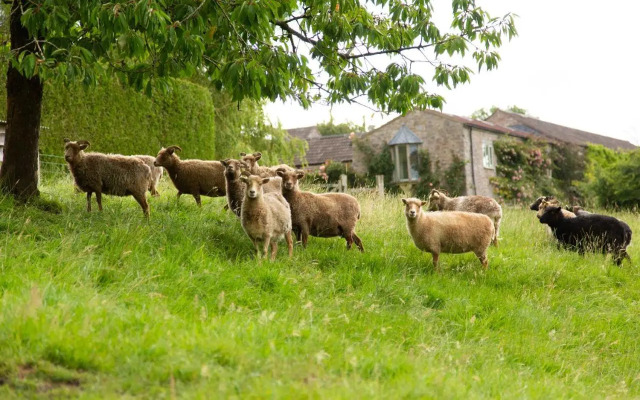 Upper Vobster Farm