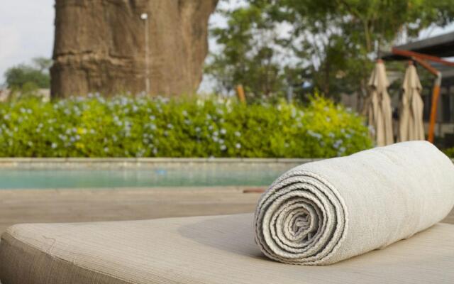 The VIP Executive Baobab
