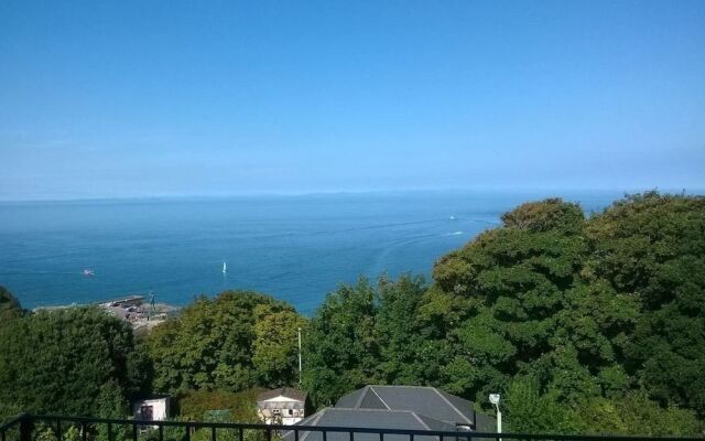 Hollies and Ilfracombe Harbour View