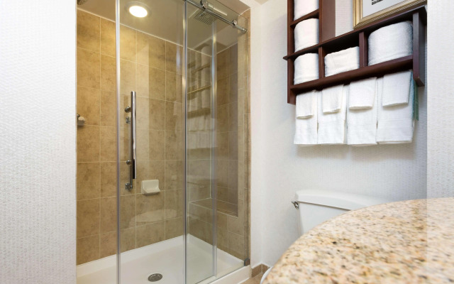 Hampton Inn Houston-Near The Galleria