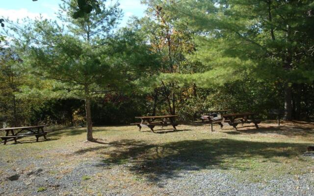 Senedo Springs