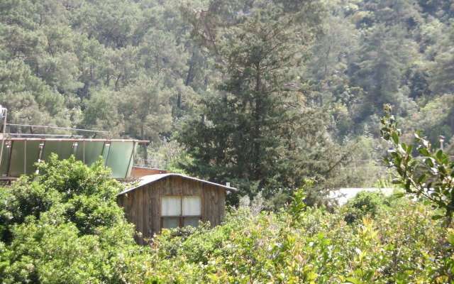 Olympos Orange