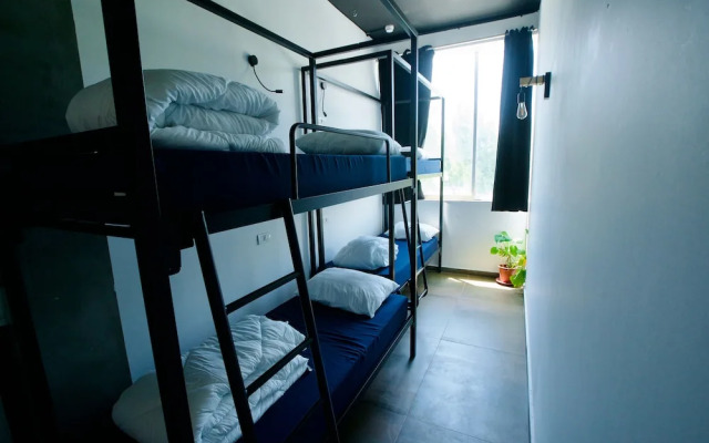 Jungle Jaffa Hostel Age 18 to 45
