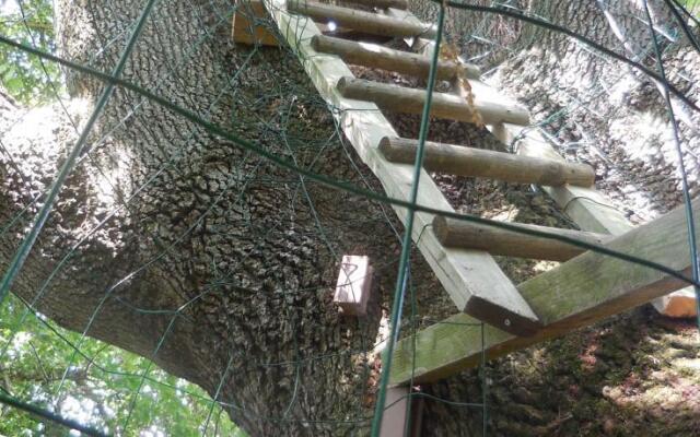 B&B La Cabane Insolite