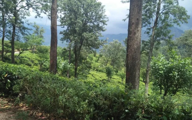 Ella Camping Resort