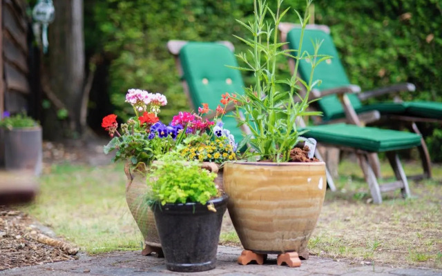 Vakantiehuisje Specht