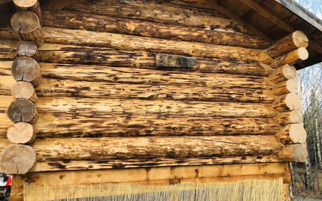 Wrangell Mountain Lodge