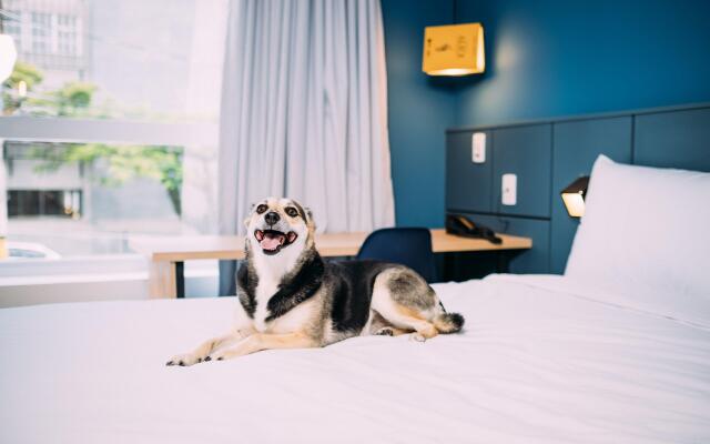 Ibis Styles Poços De Caldas