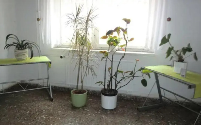 Pension Weisser Adler