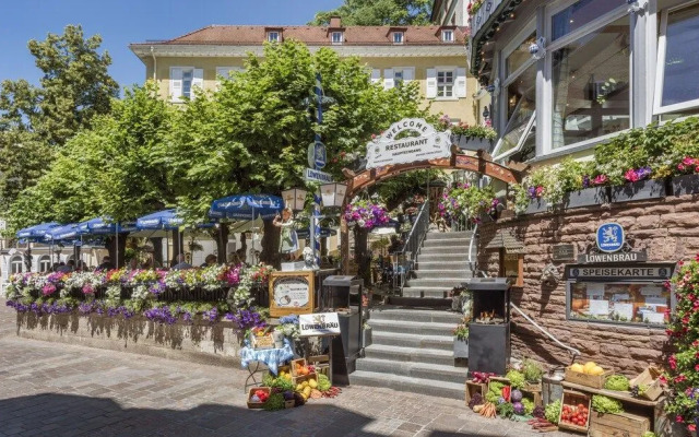 Apartment zum Goldenen Löwen