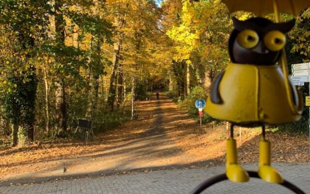 Hotel Bentheimer Hof