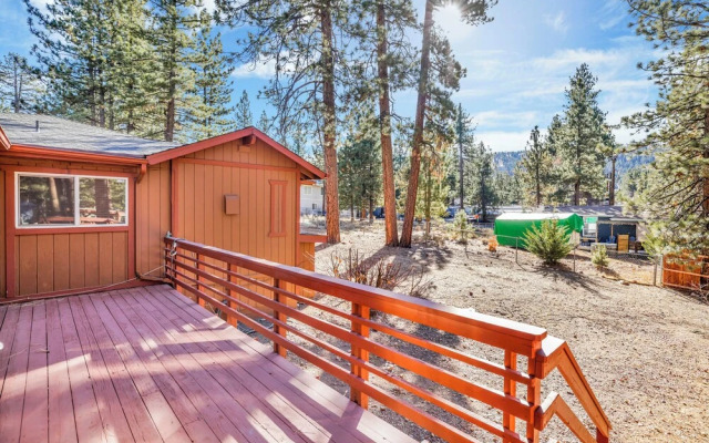 Mockingbird in Moonlight #2527