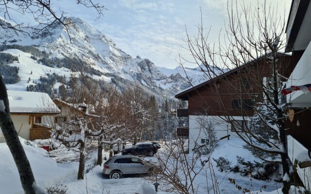 Chalet Akalei C6 Adelboden