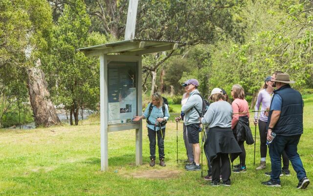 Mansfield Apartments