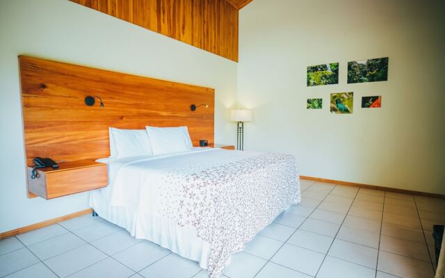 Hotel Ficus Sunset Suites