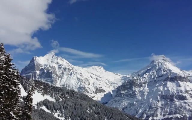 Chalet Burgenerszaun
