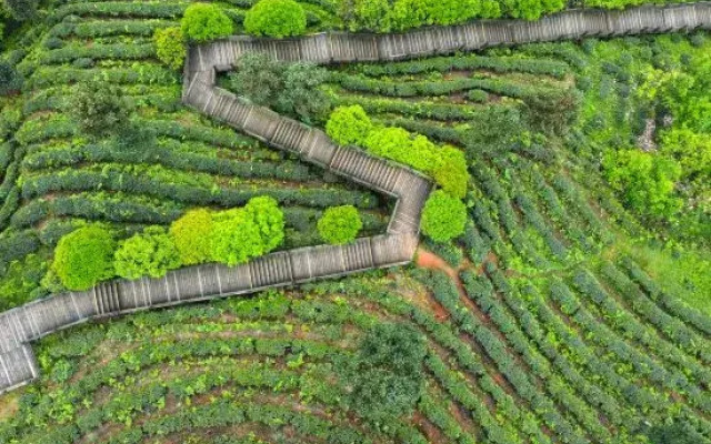 Yinxiu Shangting Hotel