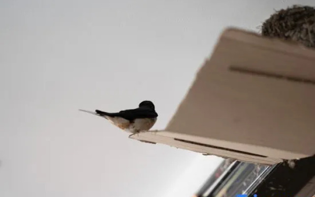 Yunting Hotel (Shanghai Qingpu Zhujiajiao Ancient Town)