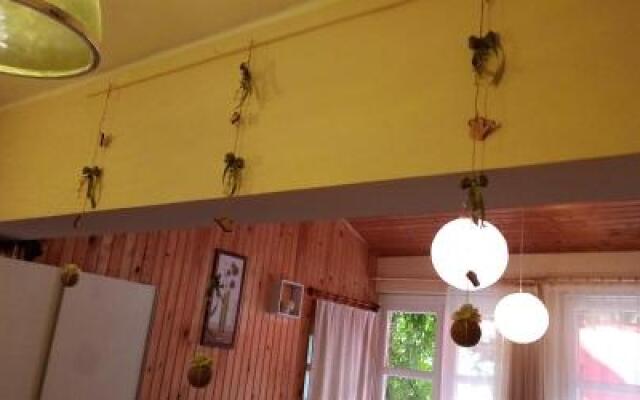 Vadszőlő Vendégház