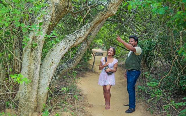 Leopard Nest - Glamping in Yala