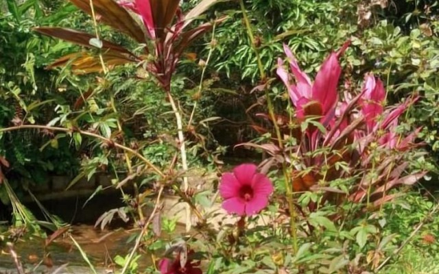 Pousada Aba da Serra