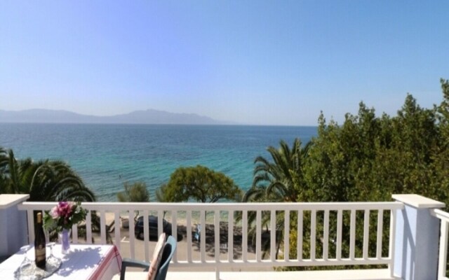 Tomo - 10 m From Beach - A1