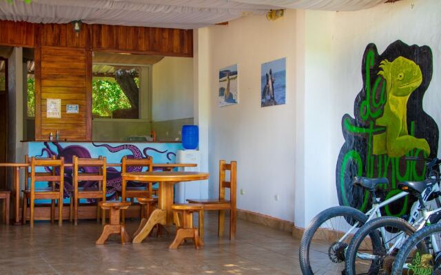 Hotel La Jungla