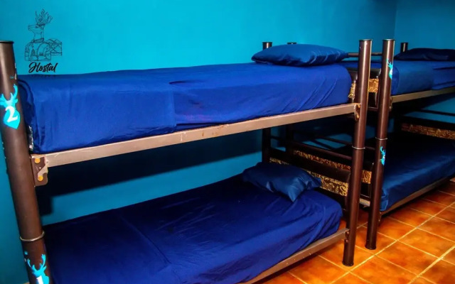Venado 8 - Hotel in Канкун - Photo 3