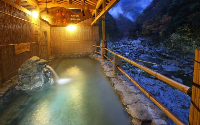 Hotel Iyaonsen